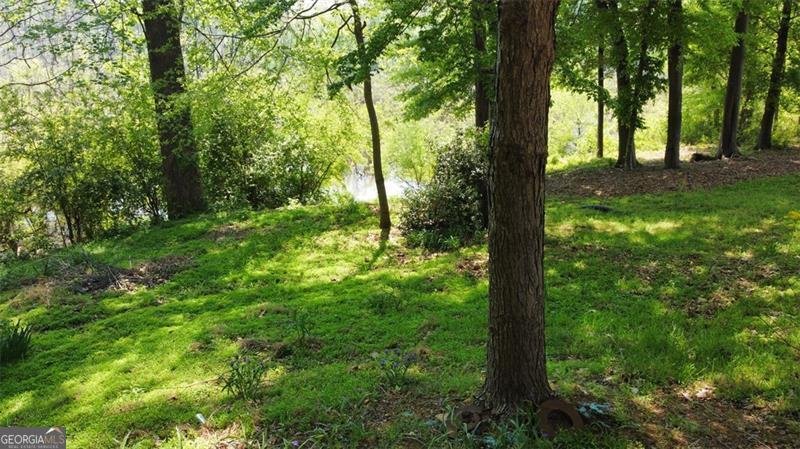 1425 PARKMONT Drive Roswell - 3