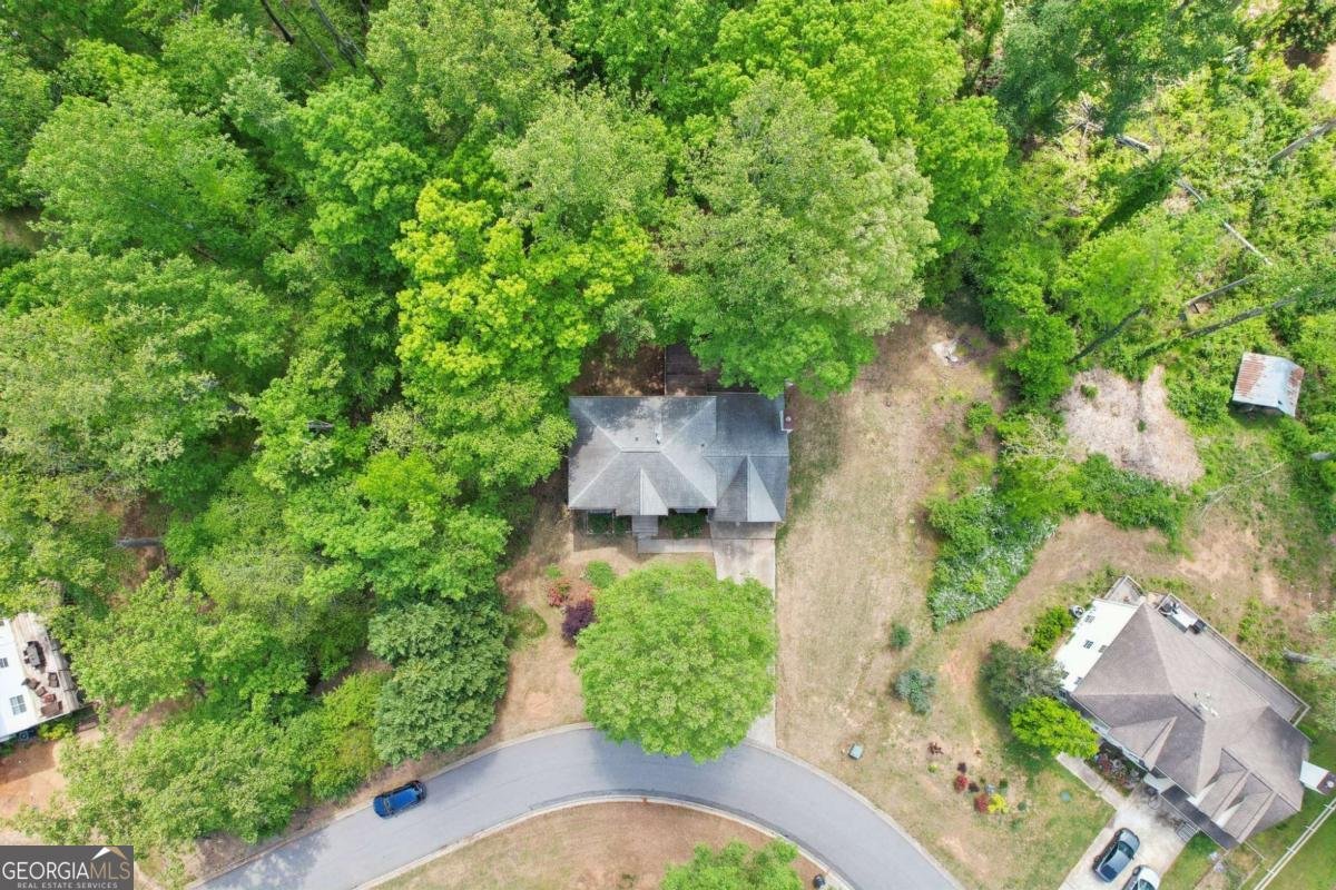 6230 Lillie Lane Cumming - 43
