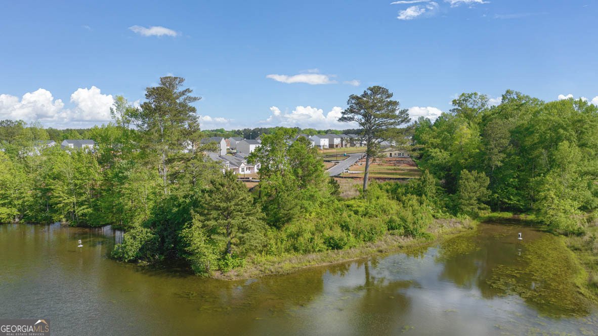 628 Whitman Lane Stockbridge - 44