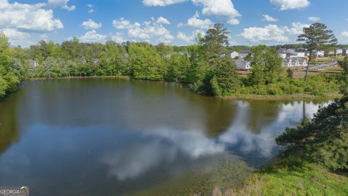 636 WHITMAN Lane Stockbridge - 45