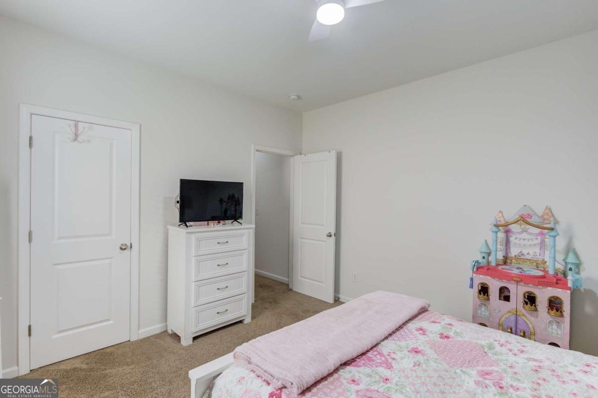 4319 Box Elder Path Gainesville - 19