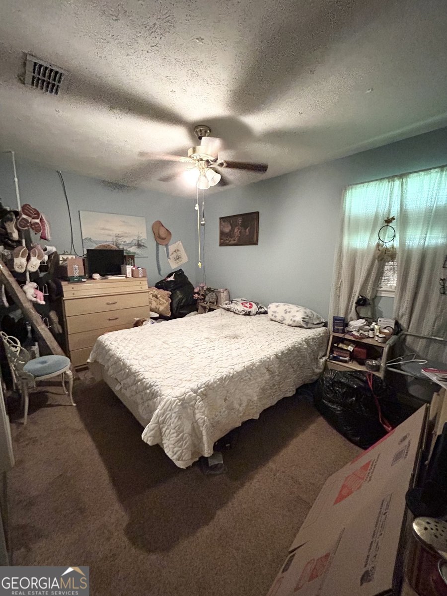 3683 Miller Street Lithia Springs - 15