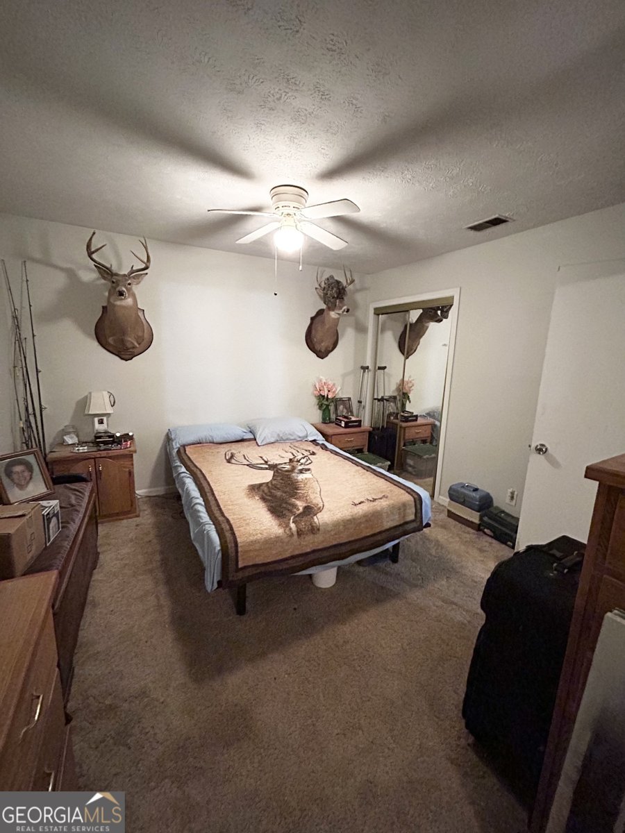 3683 Miller Street Lithia Springs - 19