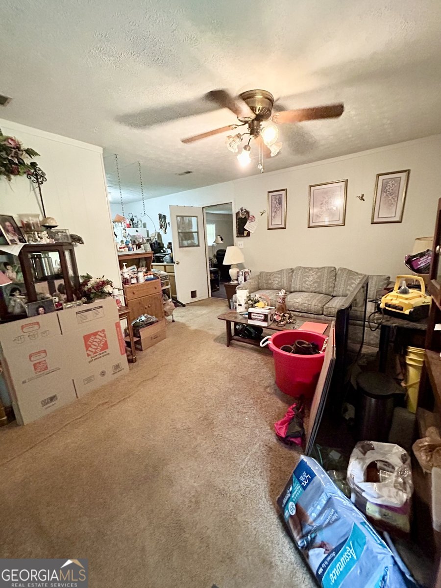 3683 Miller Street Lithia Springs - 7