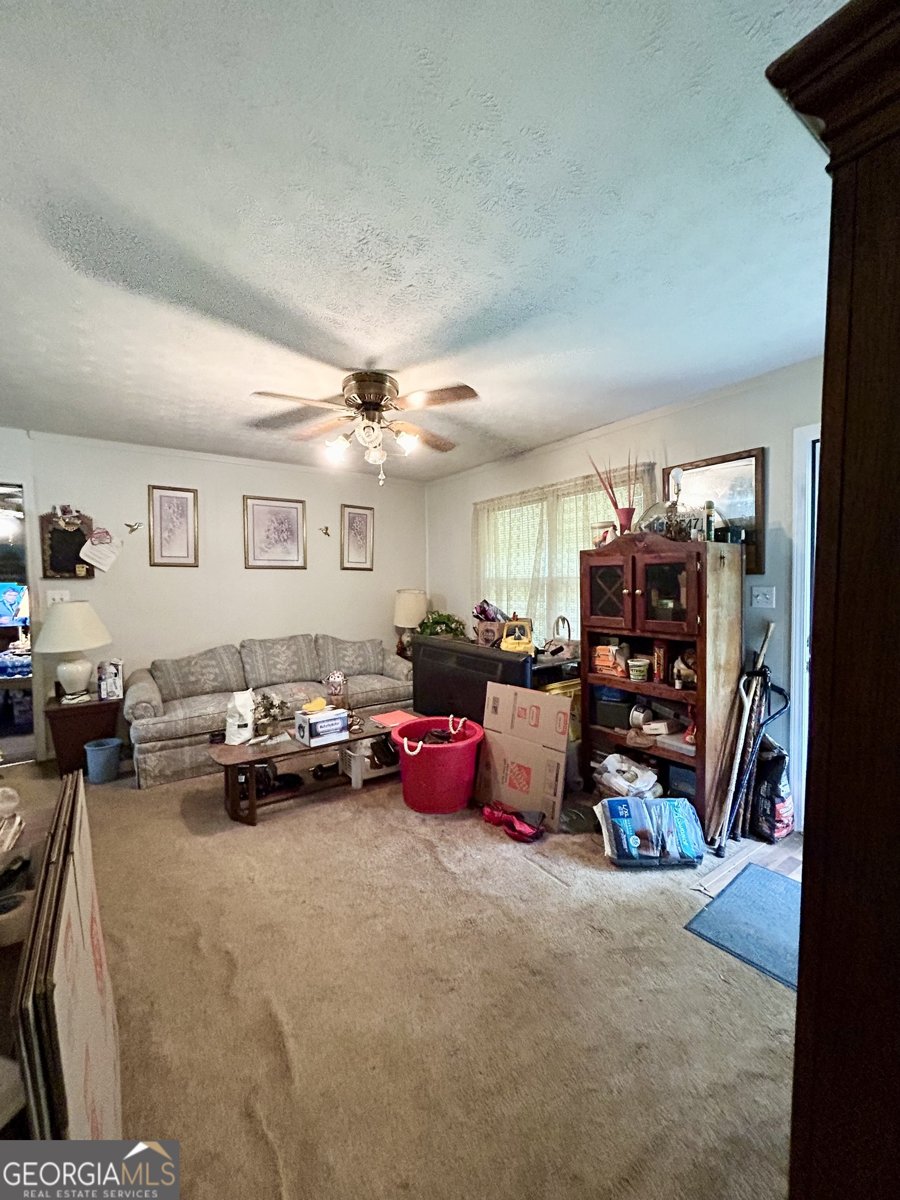 3683 Miller Street Lithia Springs - 8