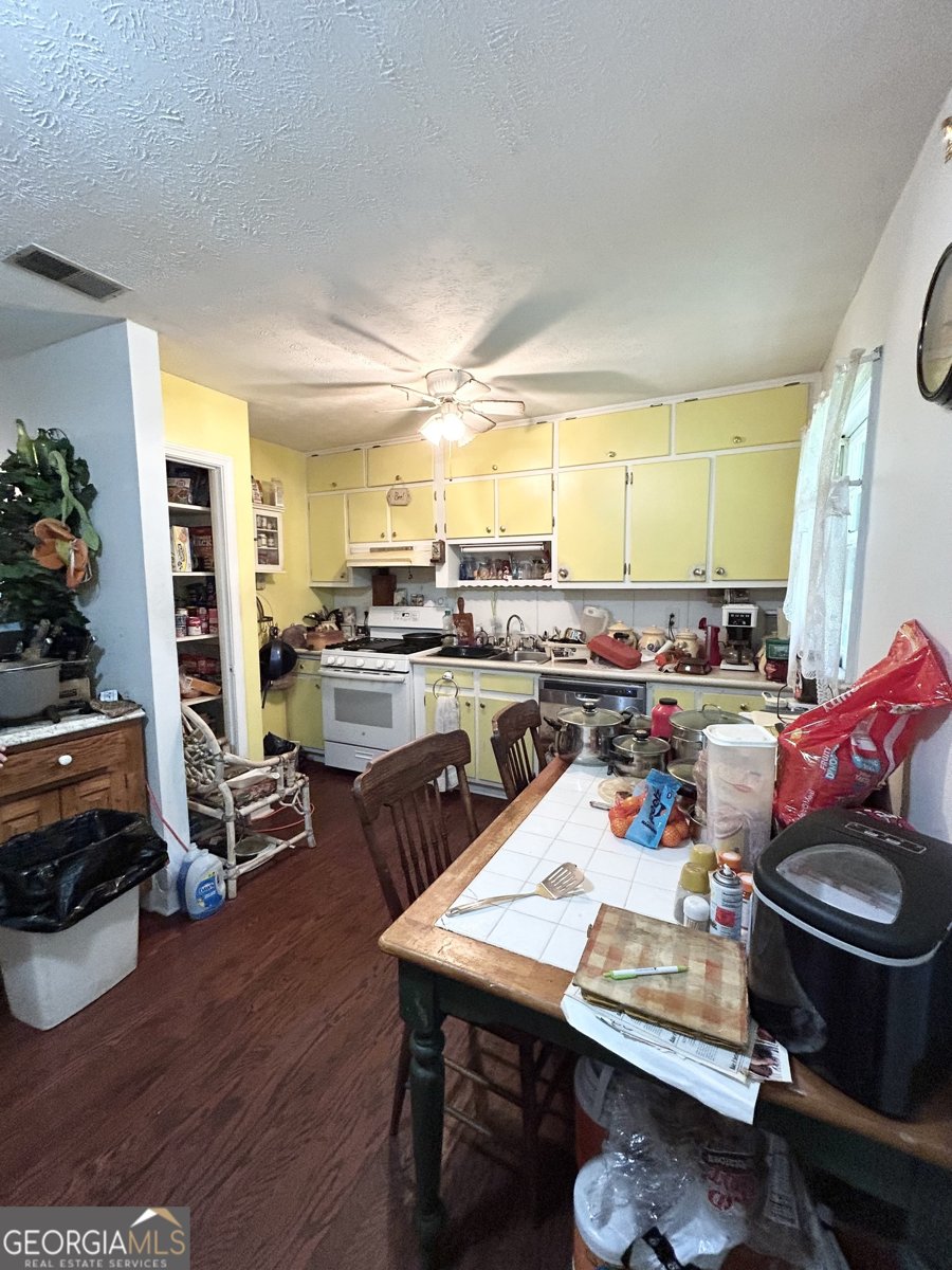 3683 Miller Street Lithia Springs - 9