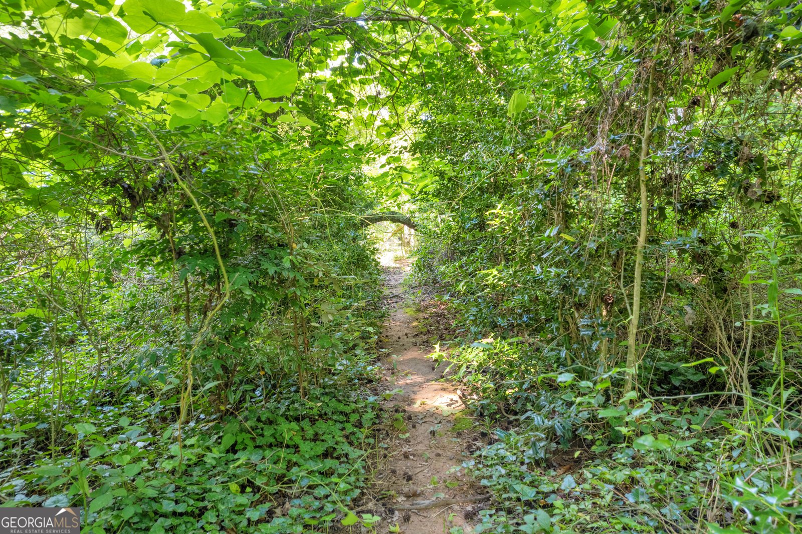 3689 Anderson Highway Hartwell - 45