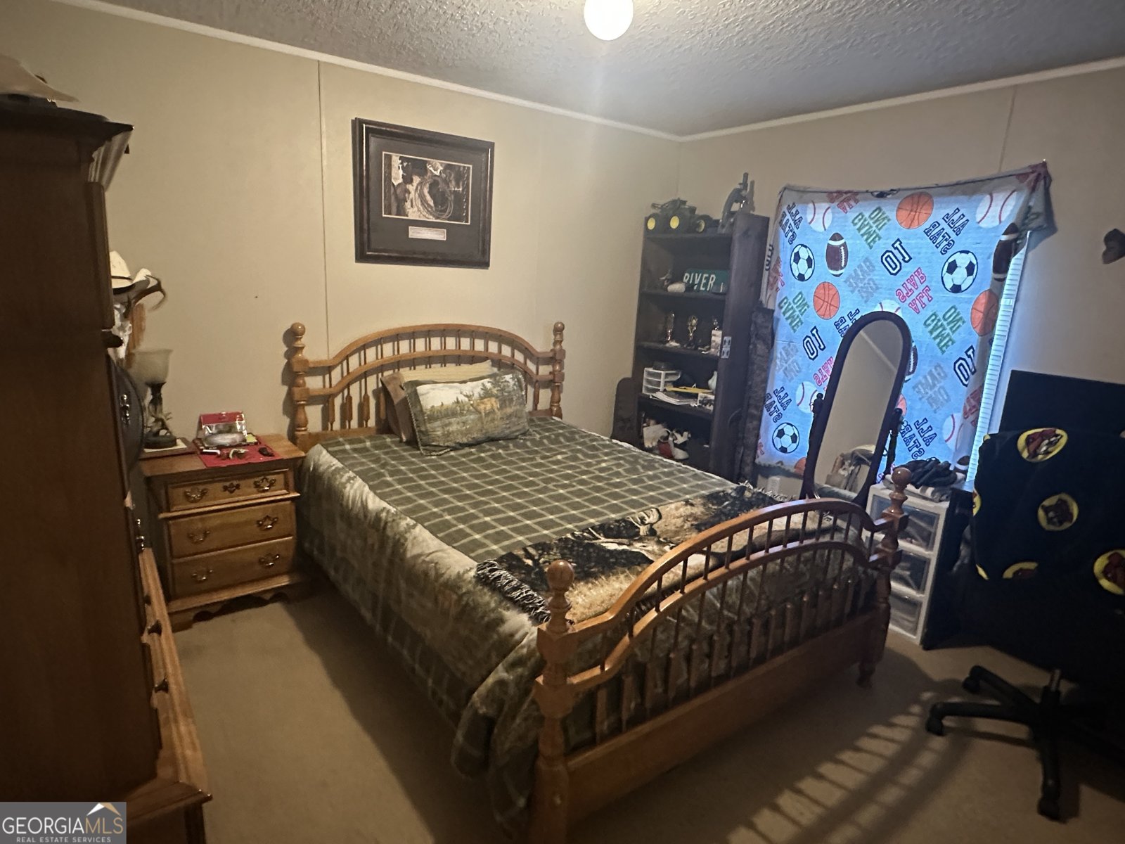 208 Oak Grove Lane Sylvania - 13