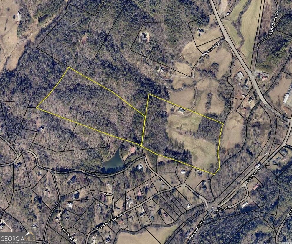 141 Doc Roof Road Mineral Bluff - 20