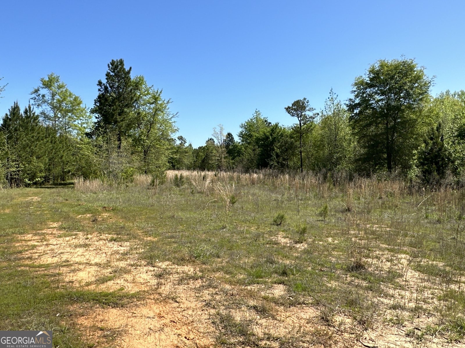12001 Layfield Road Upatoi - 8