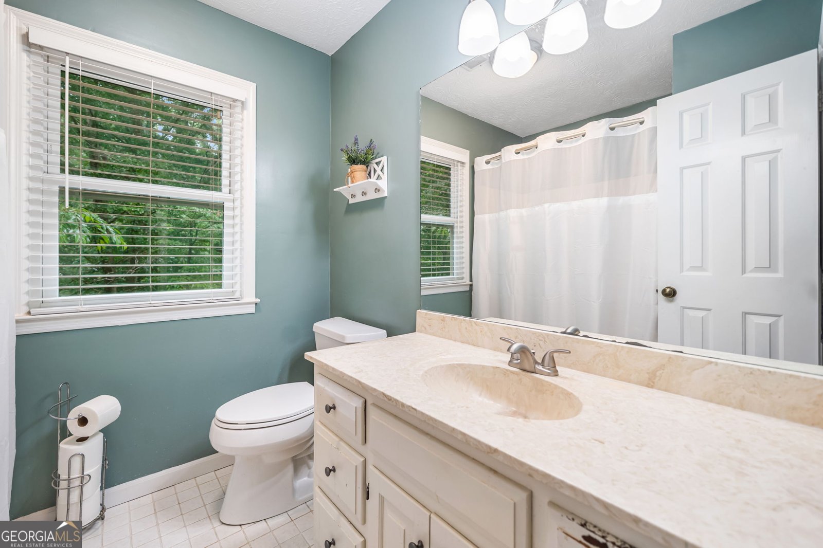 6360 Lakeview Terrace Douglasville - 24