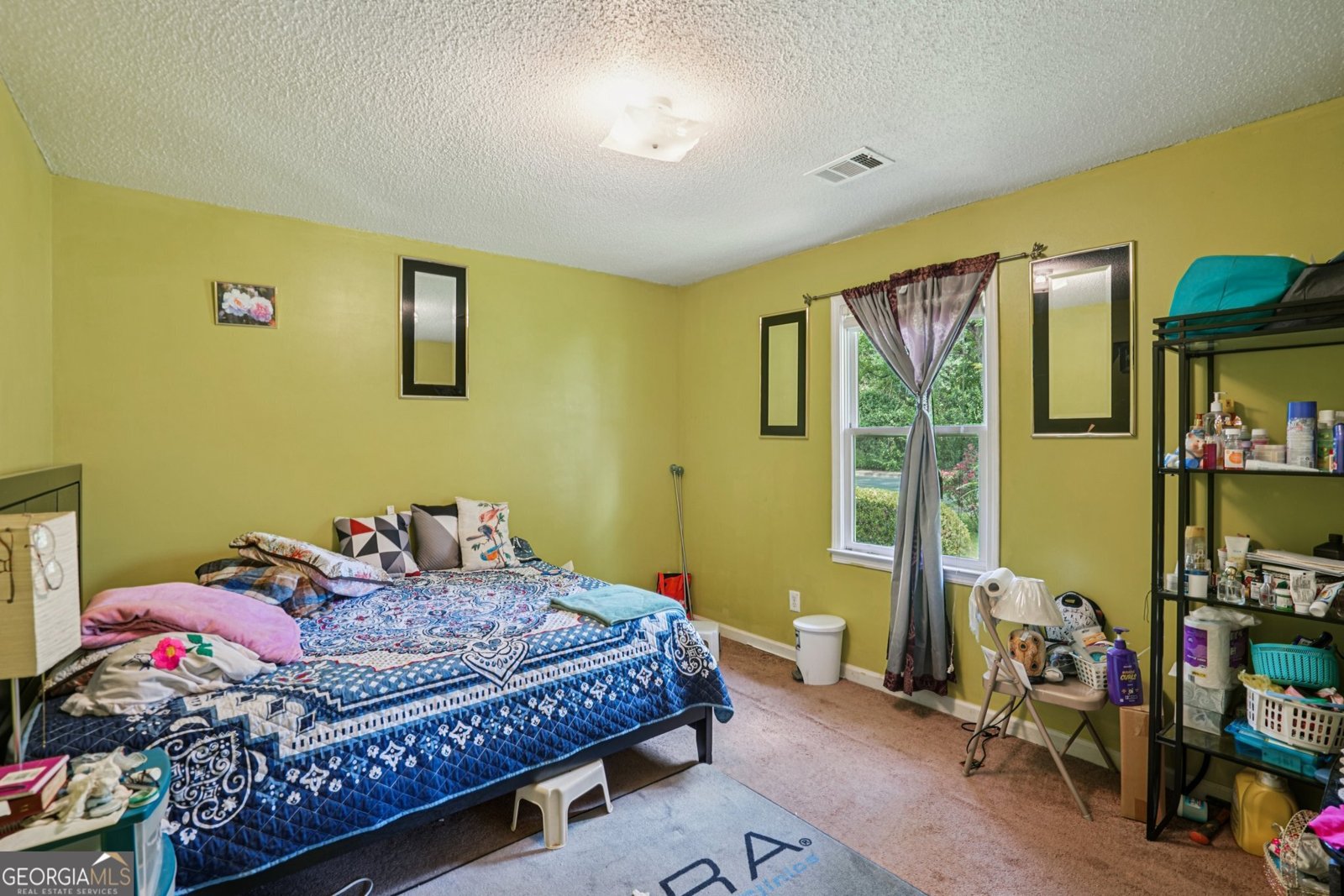 302 Douglas Street Cartersville - 9