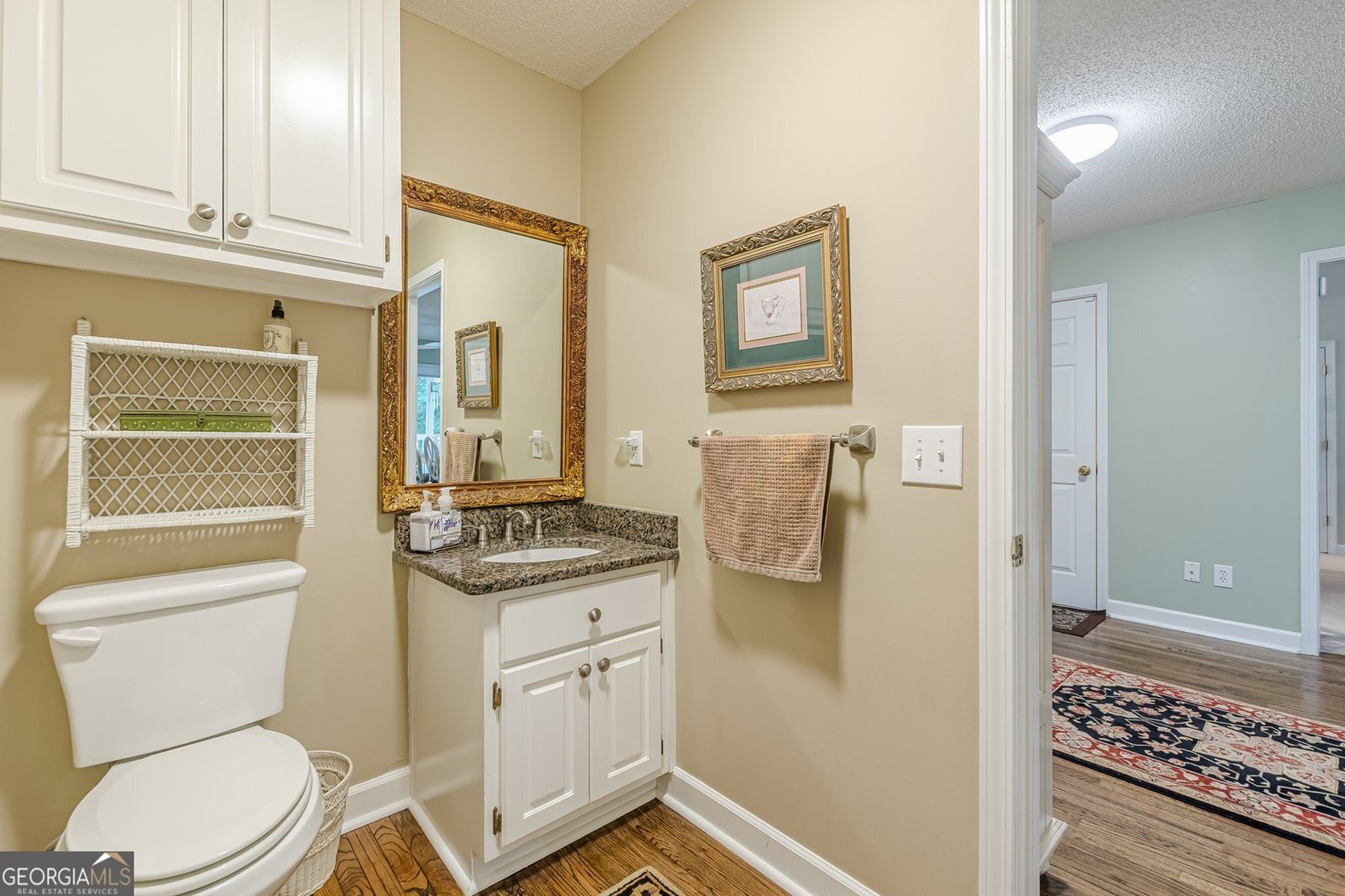 9707 Squirrel Wood Run Douglasville - 35