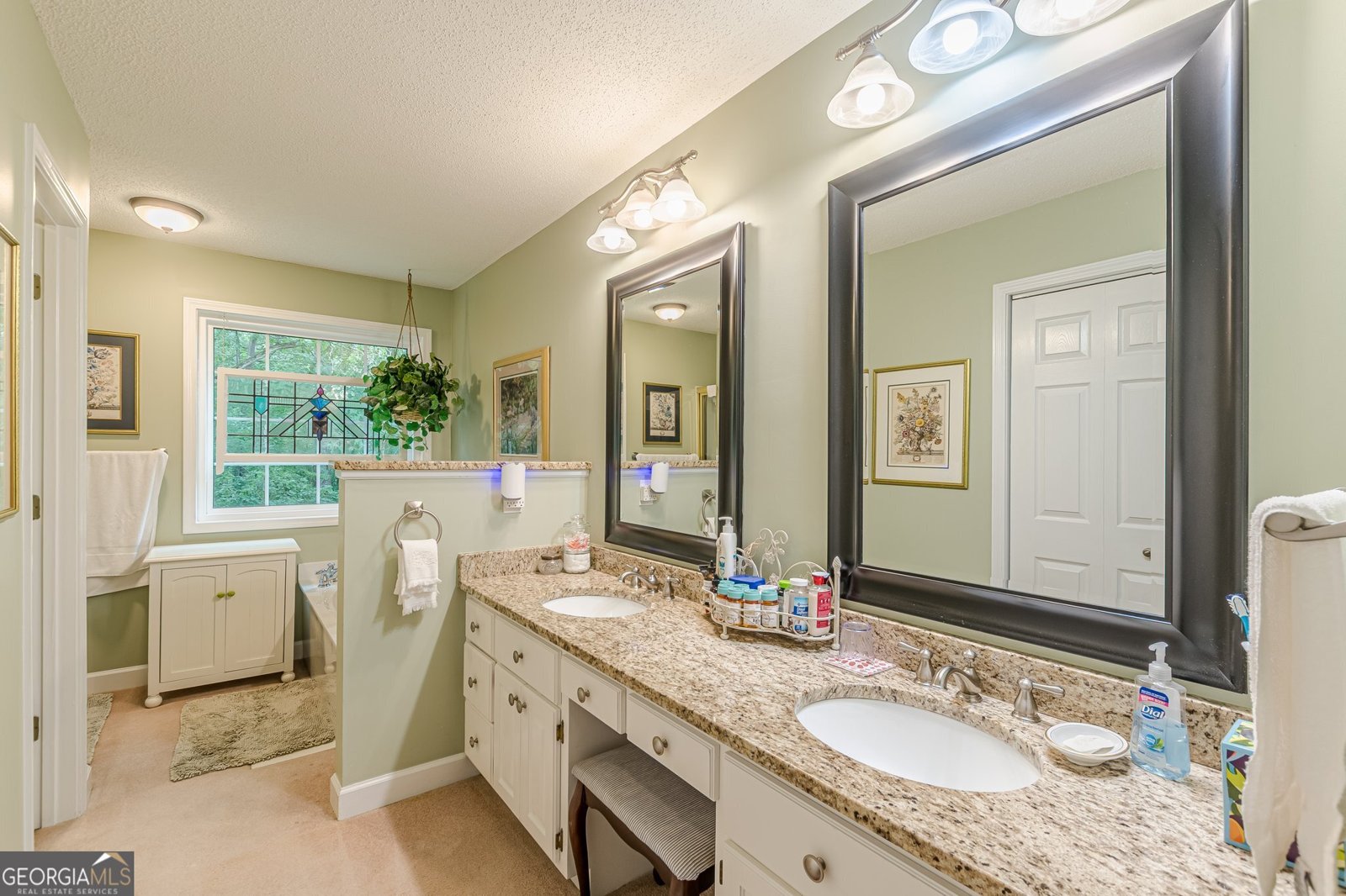 9707 Squirrel Wood Run Douglasville - 41