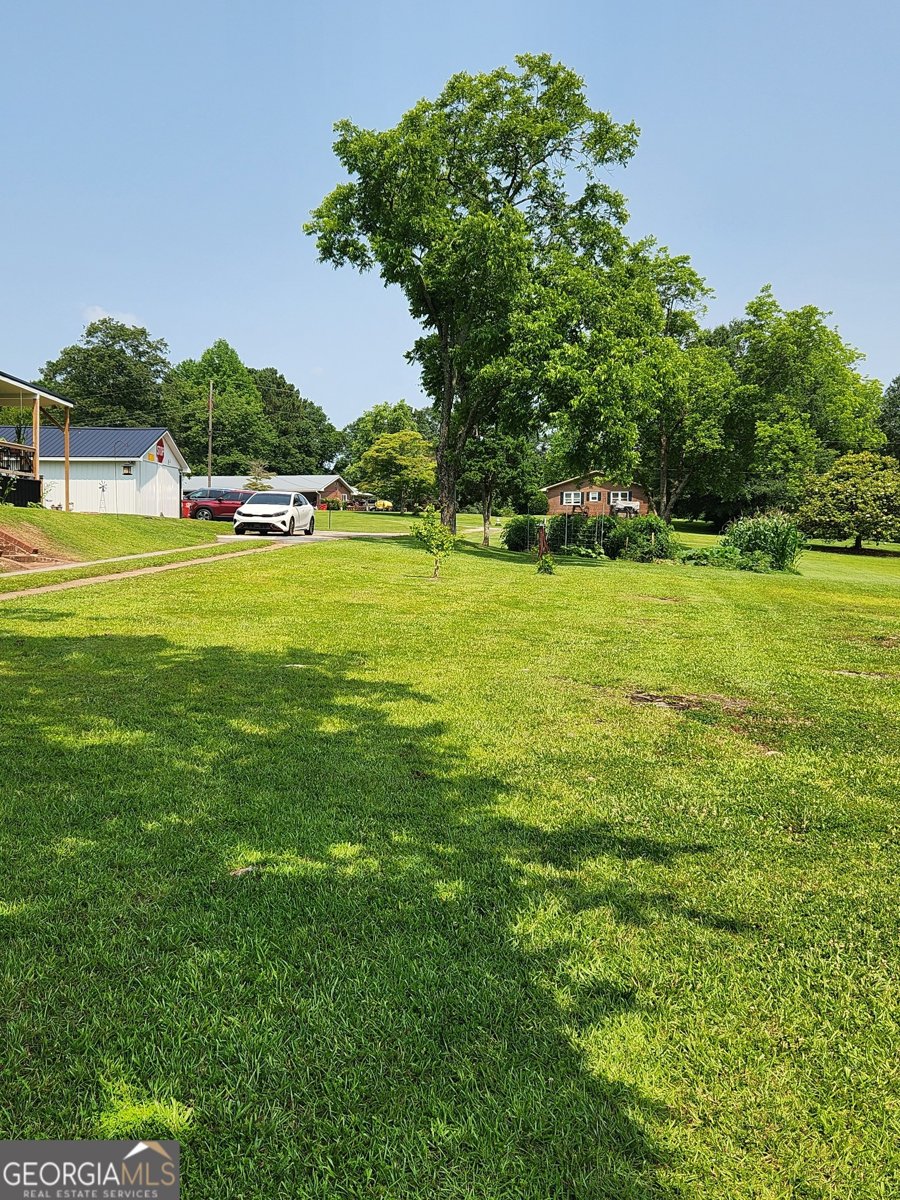 617 College Street Bowdon - 12