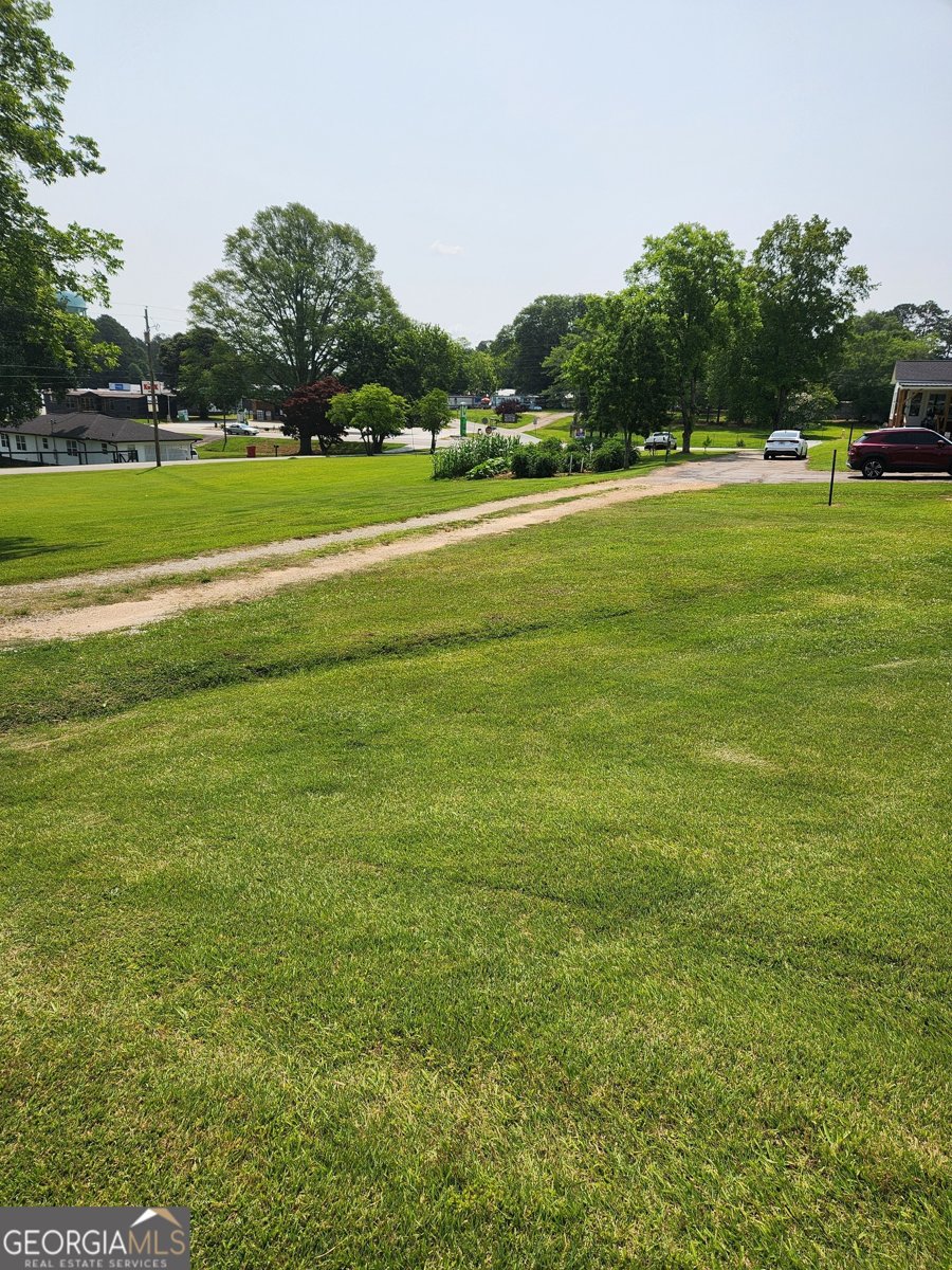 617 College Street Bowdon - 13