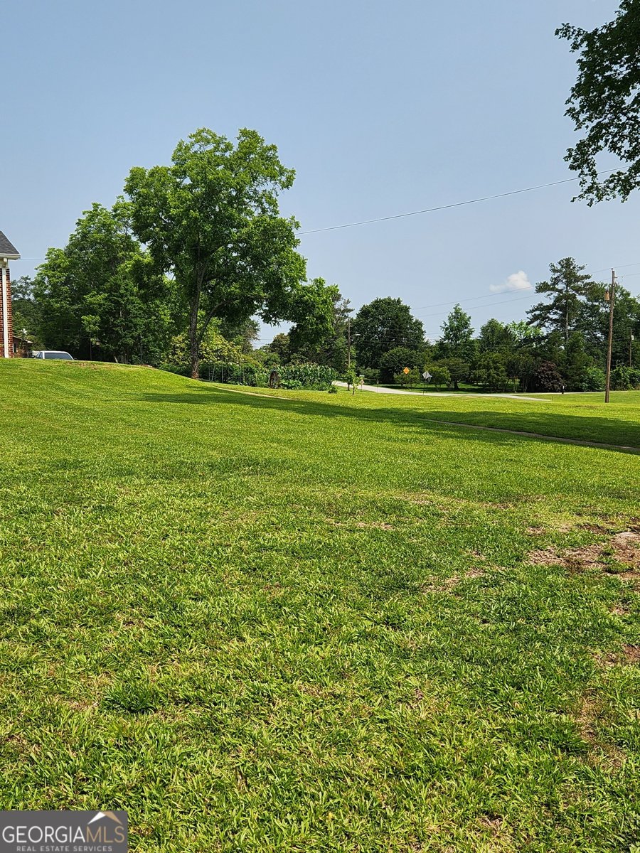 617 College Street Bowdon - 8