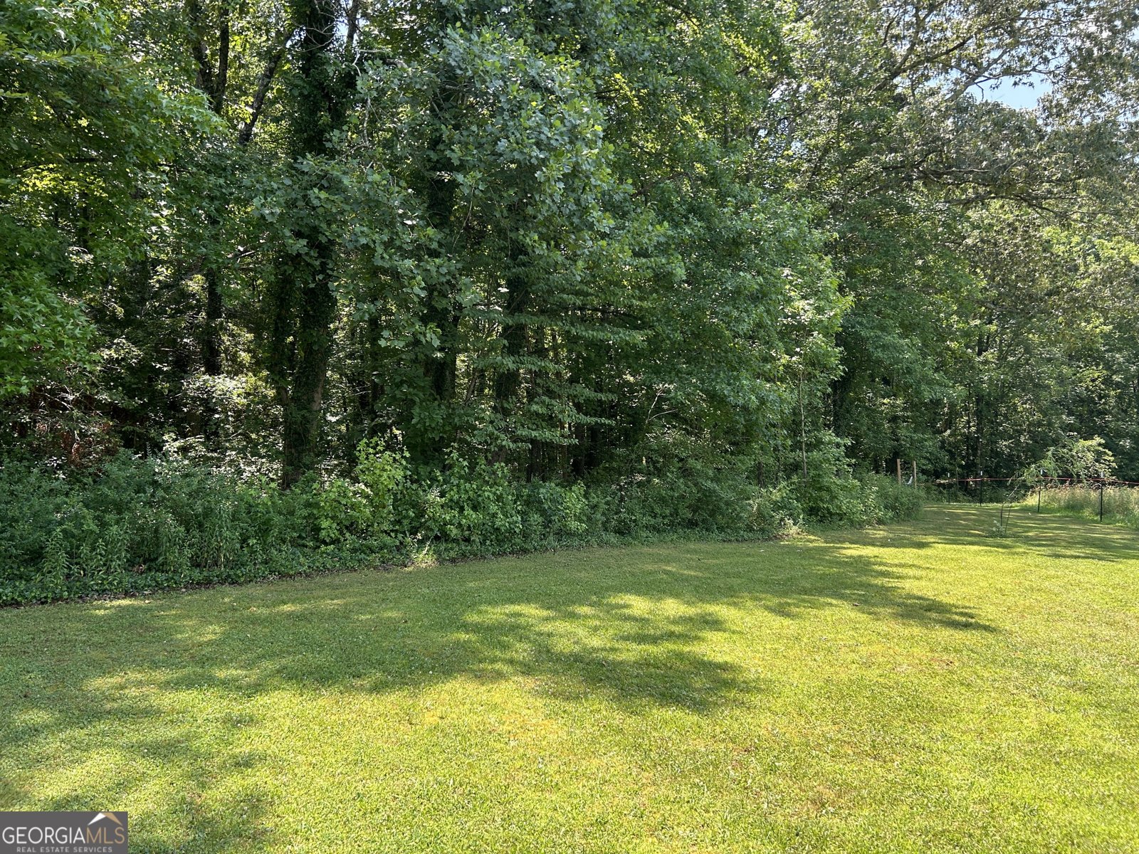 1679 Rock Road Mount Airy - 29