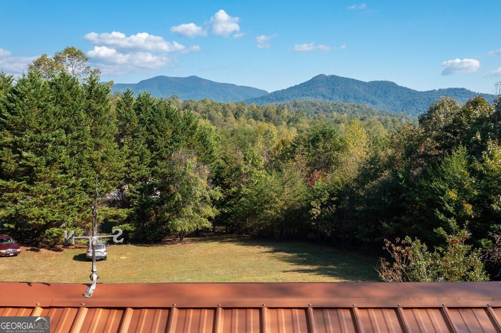 557 Hidden Pines Court Hiawassee - 57