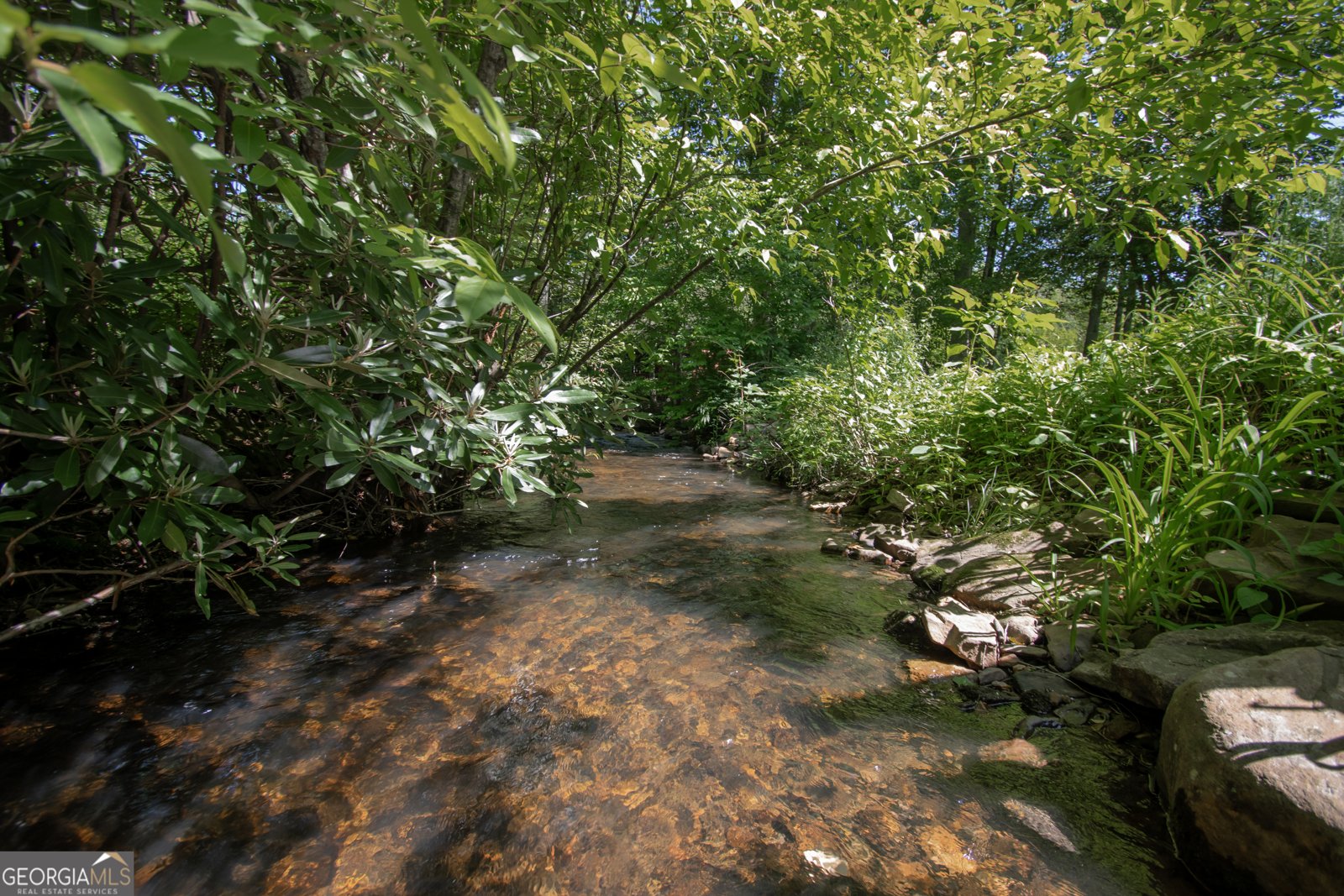 56 Deer Run Road Robbinsville - 19