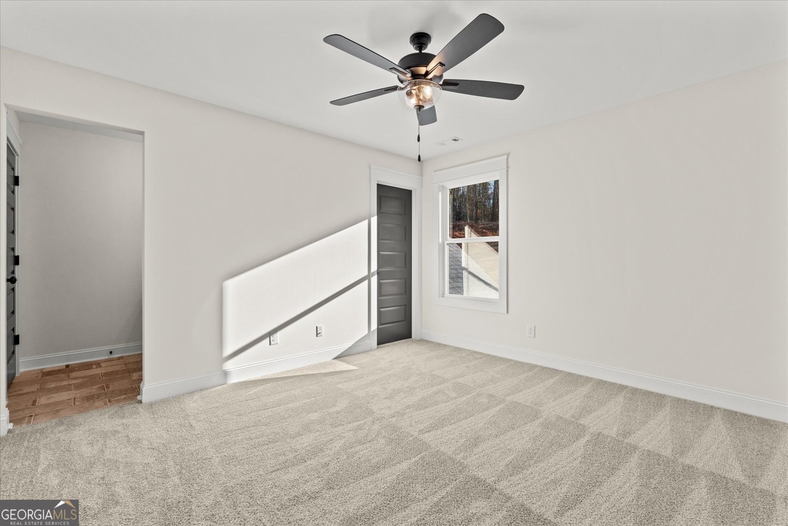 157 West Lake Boulevard Carrollton - 37