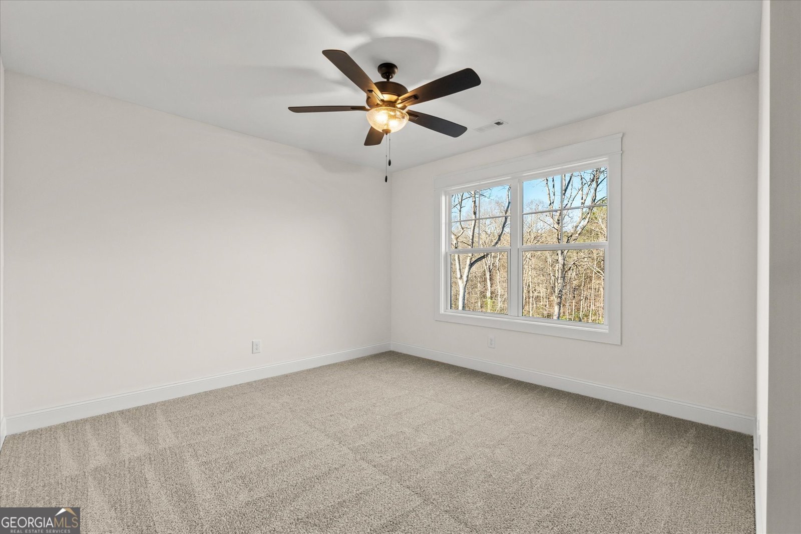 157 West Lake Boulevard Carrollton - 38