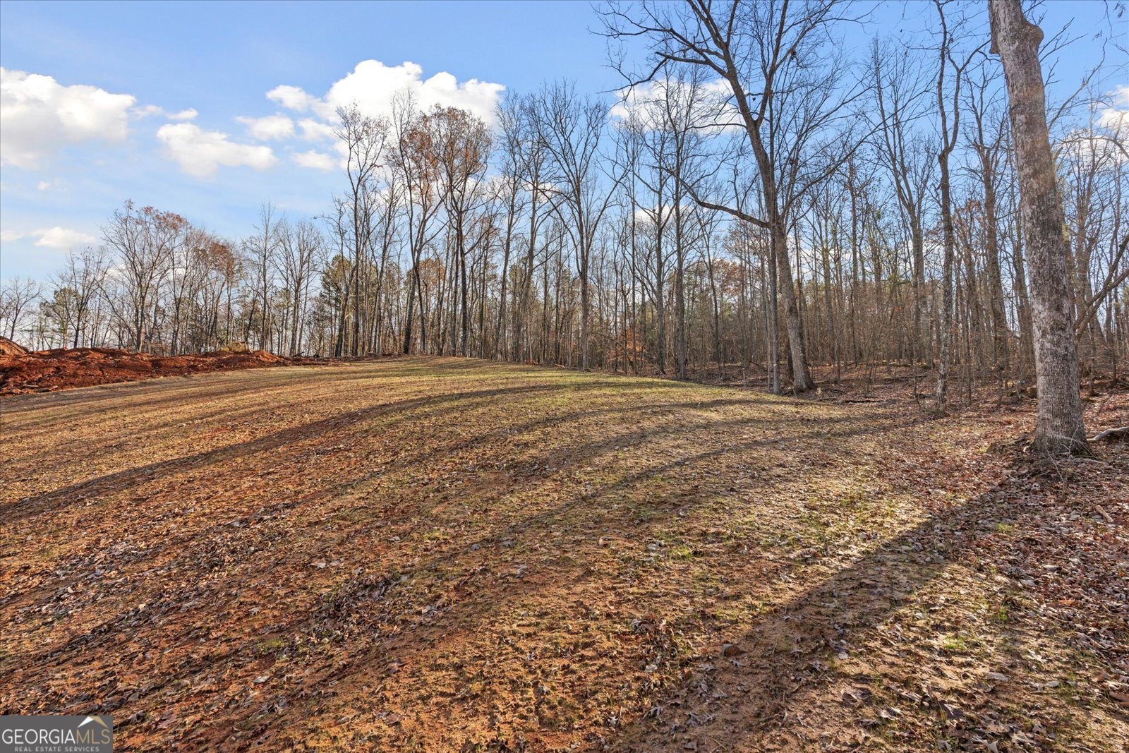 157 West Lake Boulevard Carrollton - 42