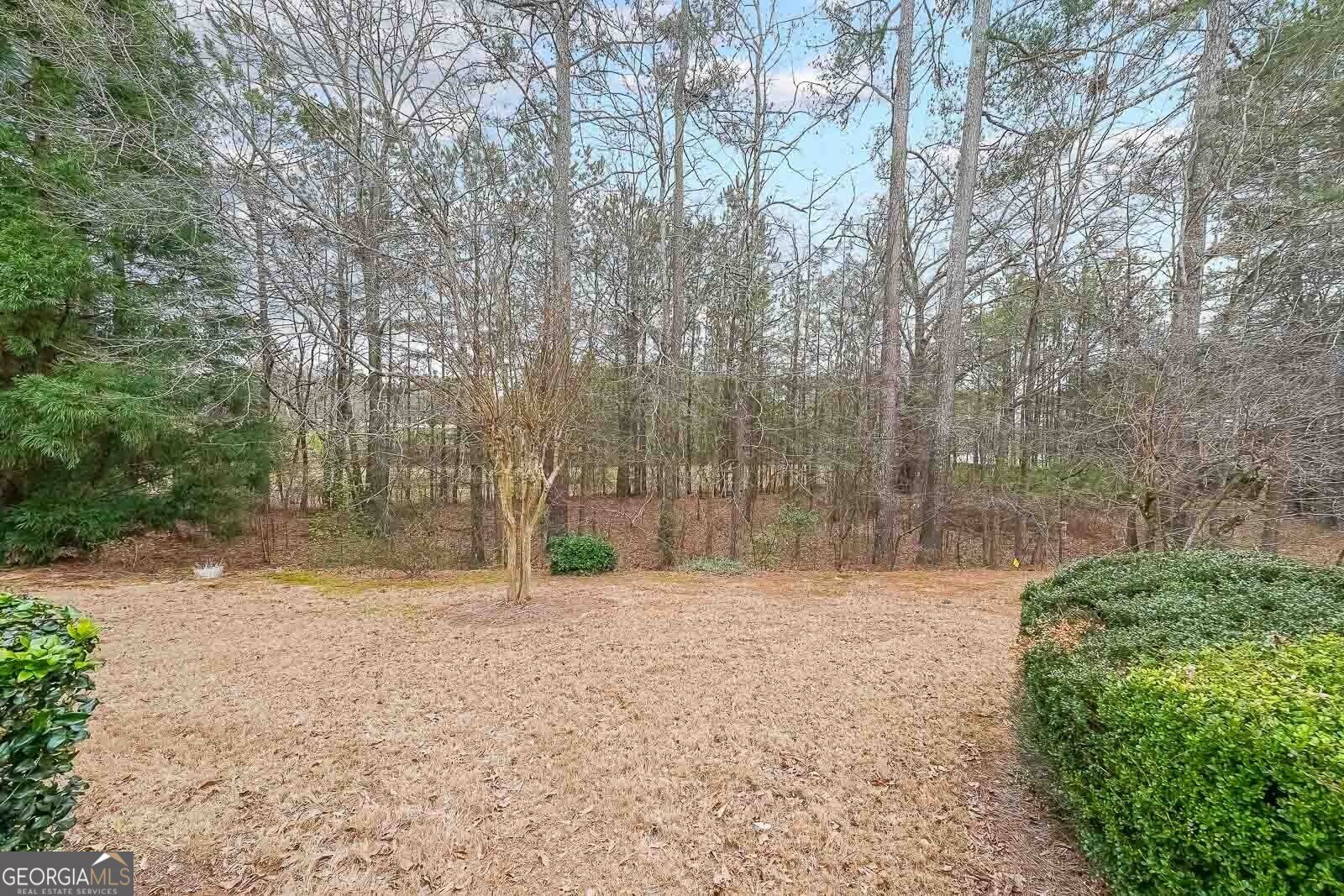 3916 Abbott Way Powder Springs - 33