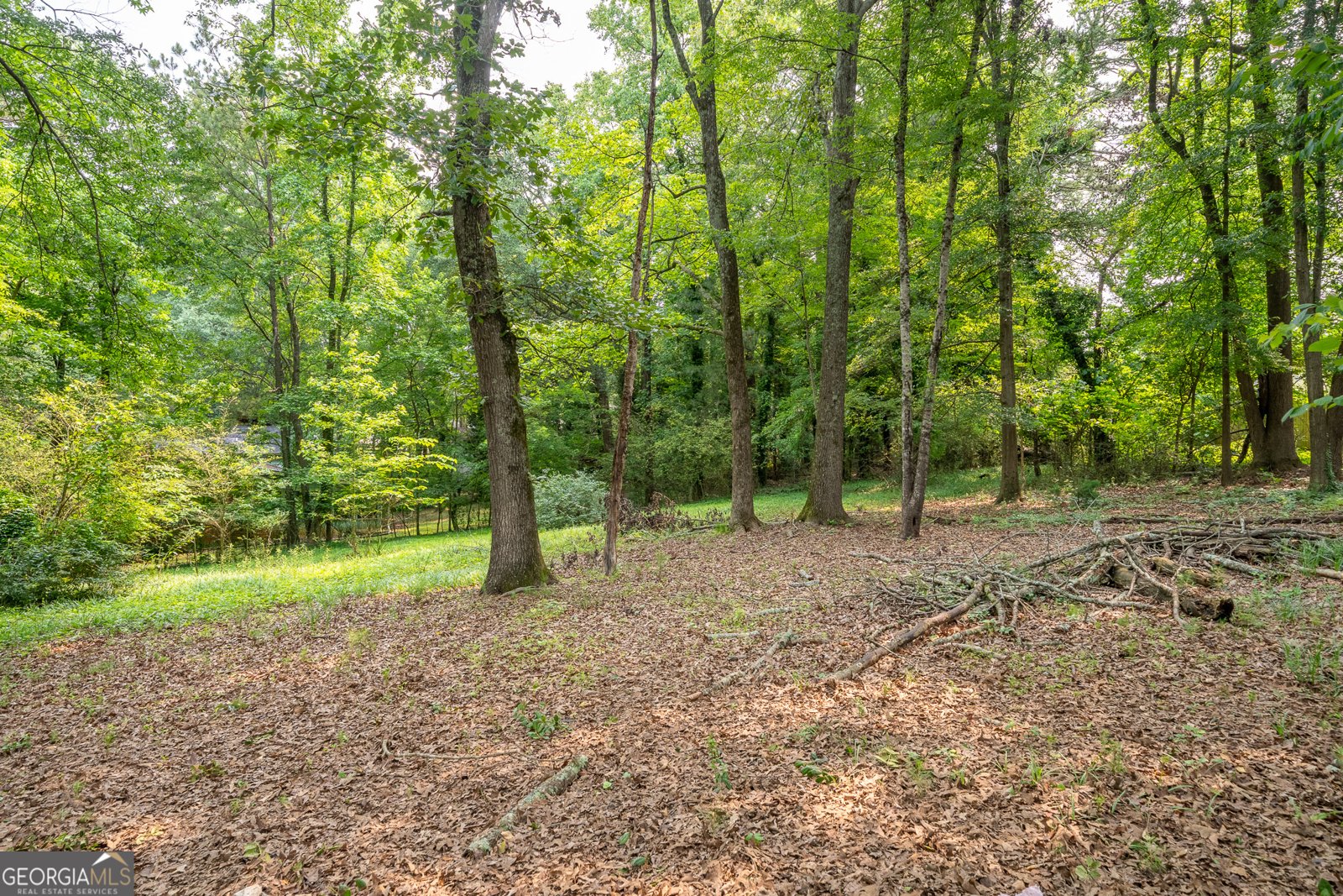 4510 Virginia Avenue Kennesaw - 50