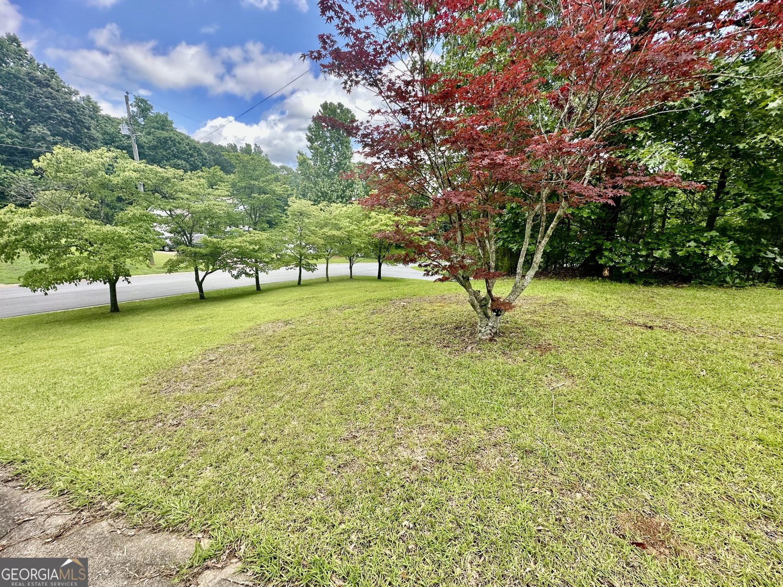 186 Grapevine Drive Douglasville - 25