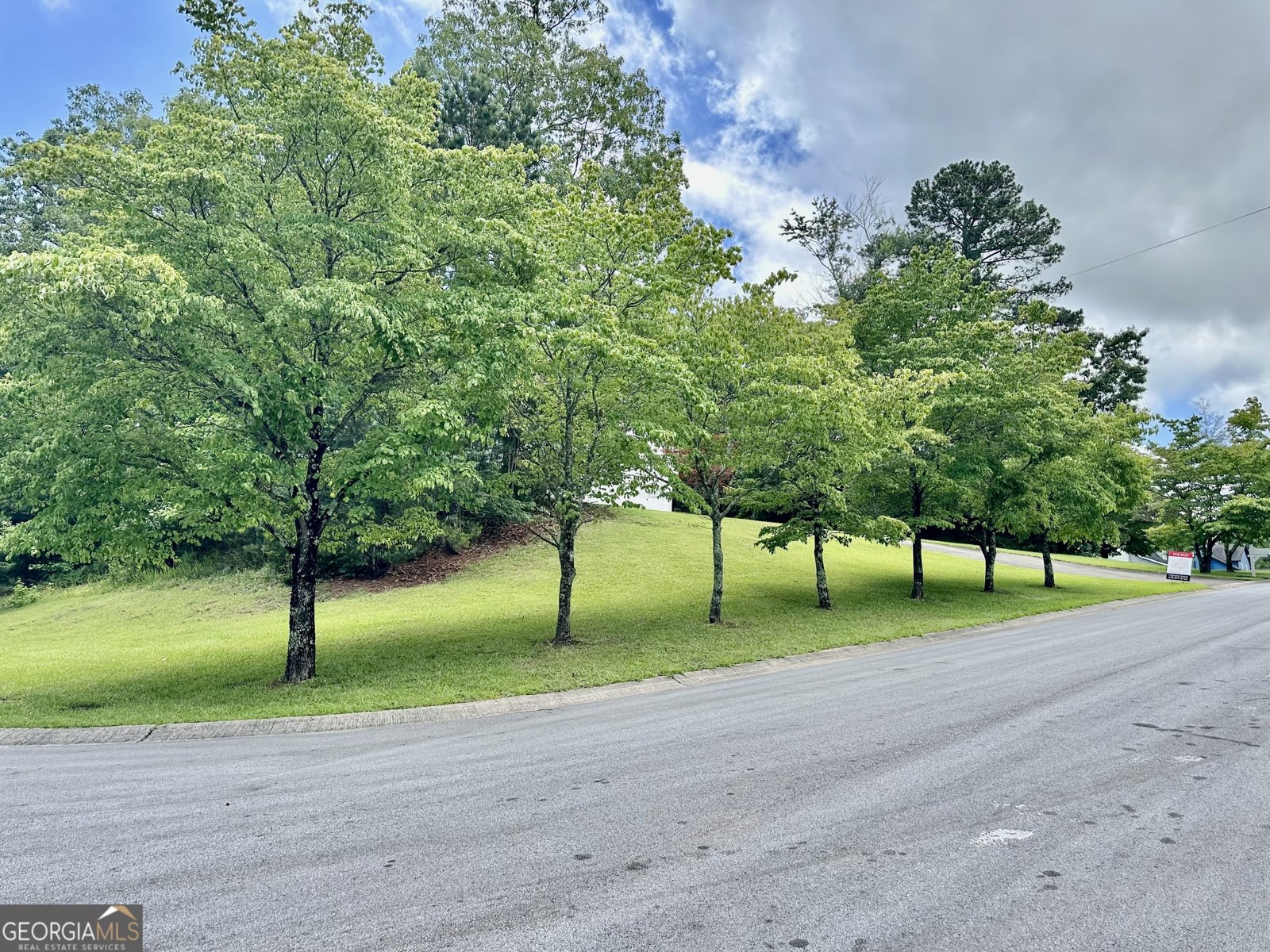 186 Grapevine Drive Douglasville - 26