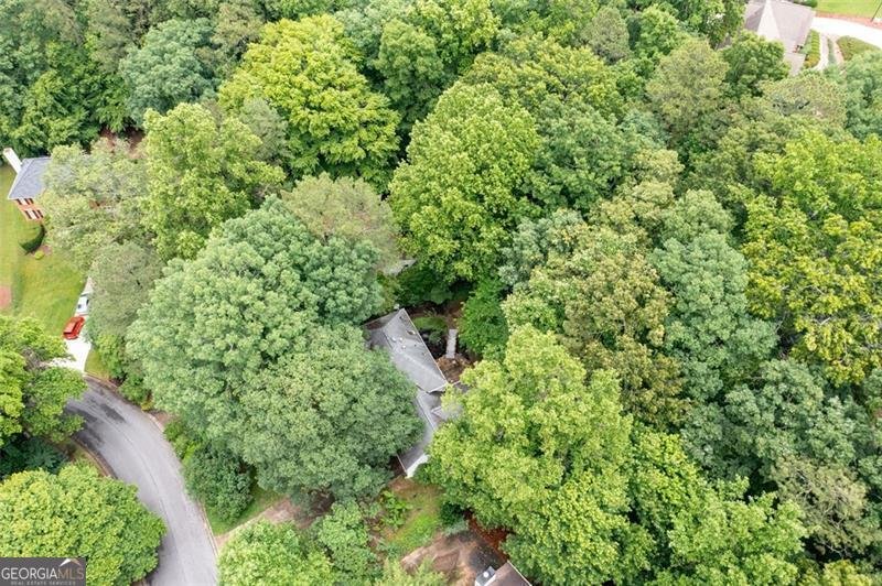 735 Wood Valley Trace Roswell - 37