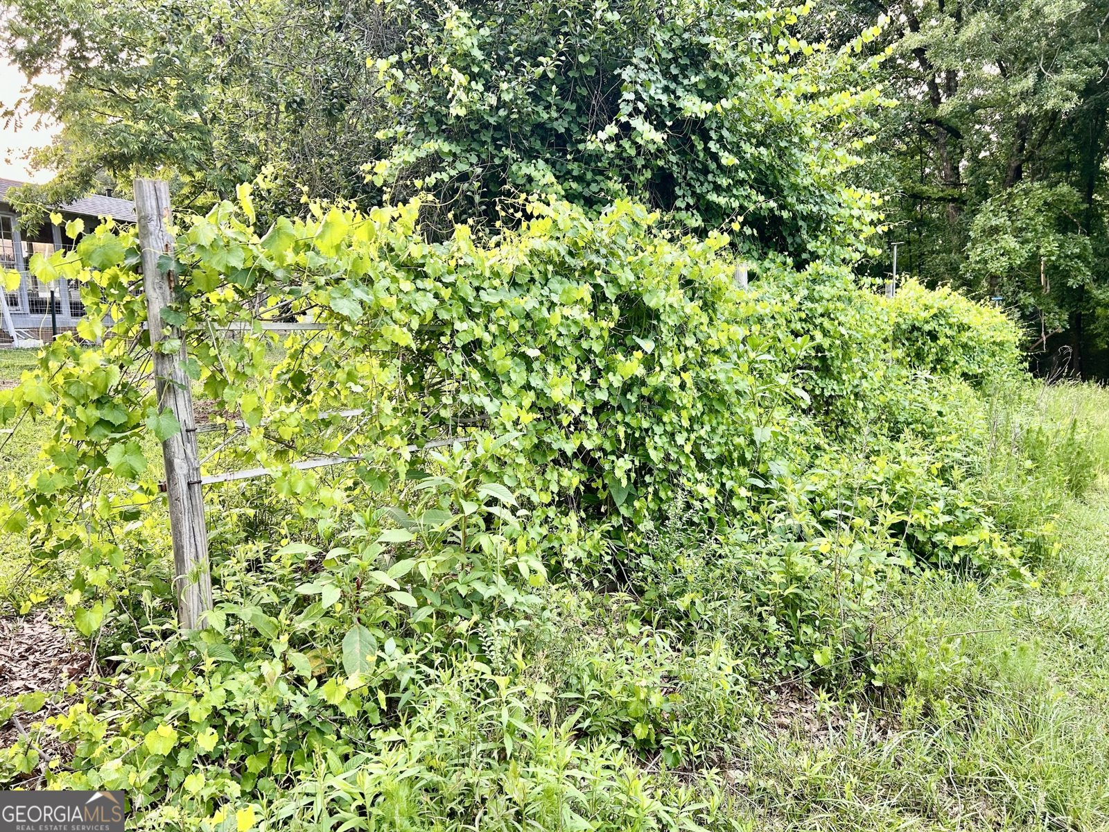3272 Horace Road Bowman - 34