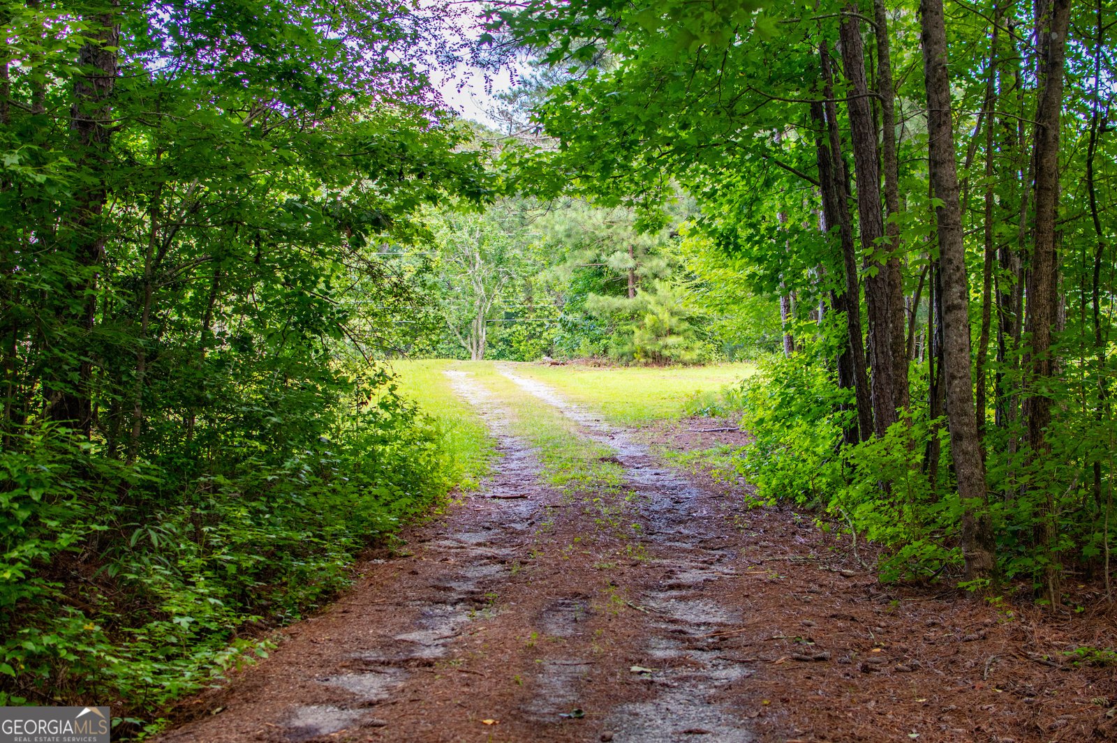 8291 Highway 5 Whitesburg - 59