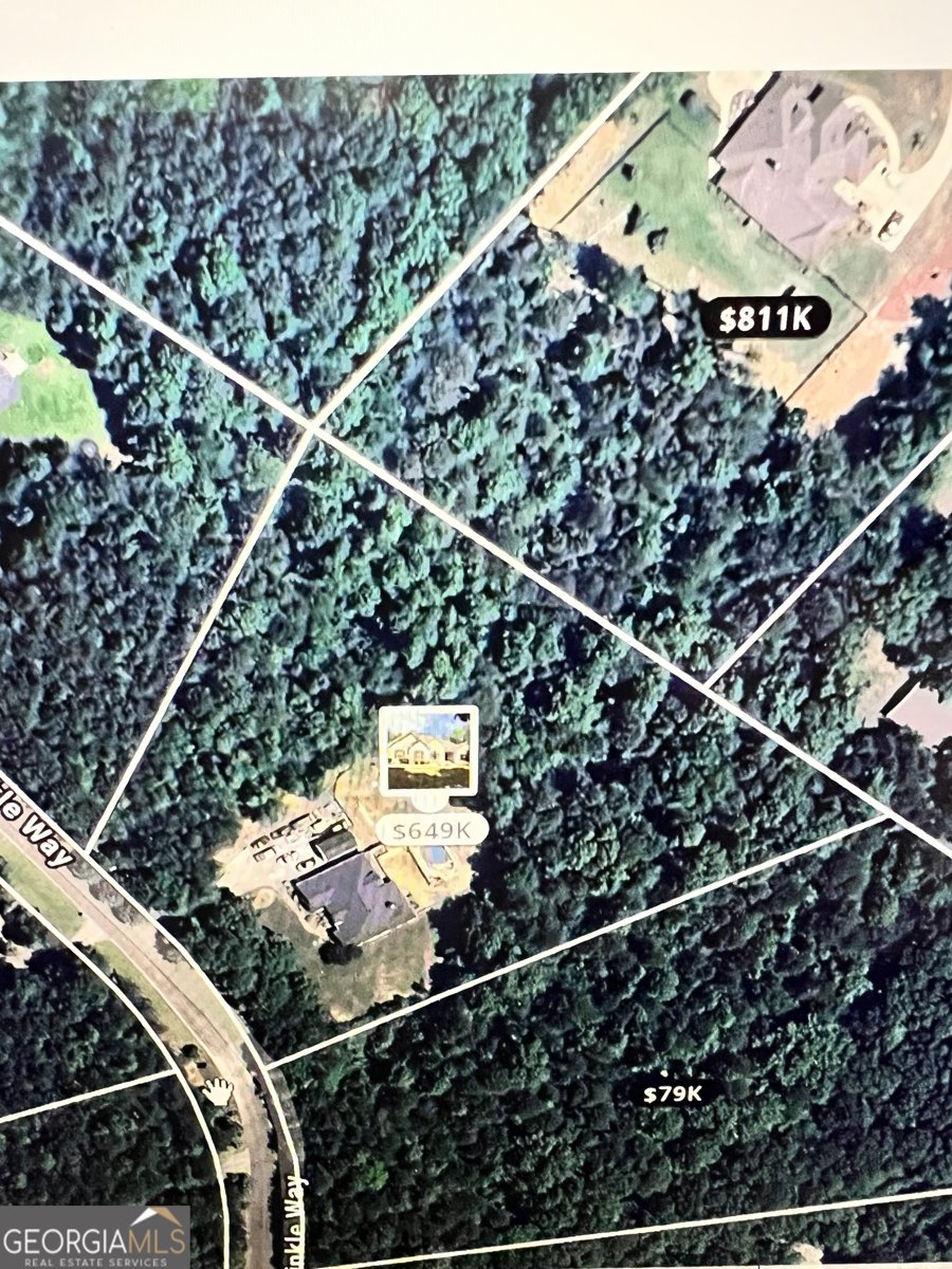 219 Periwinkle Way Pendergrass - 69