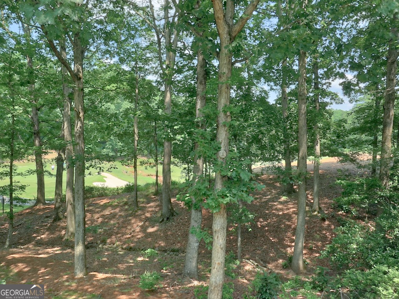 307 Worthing Lane McDonough - 38