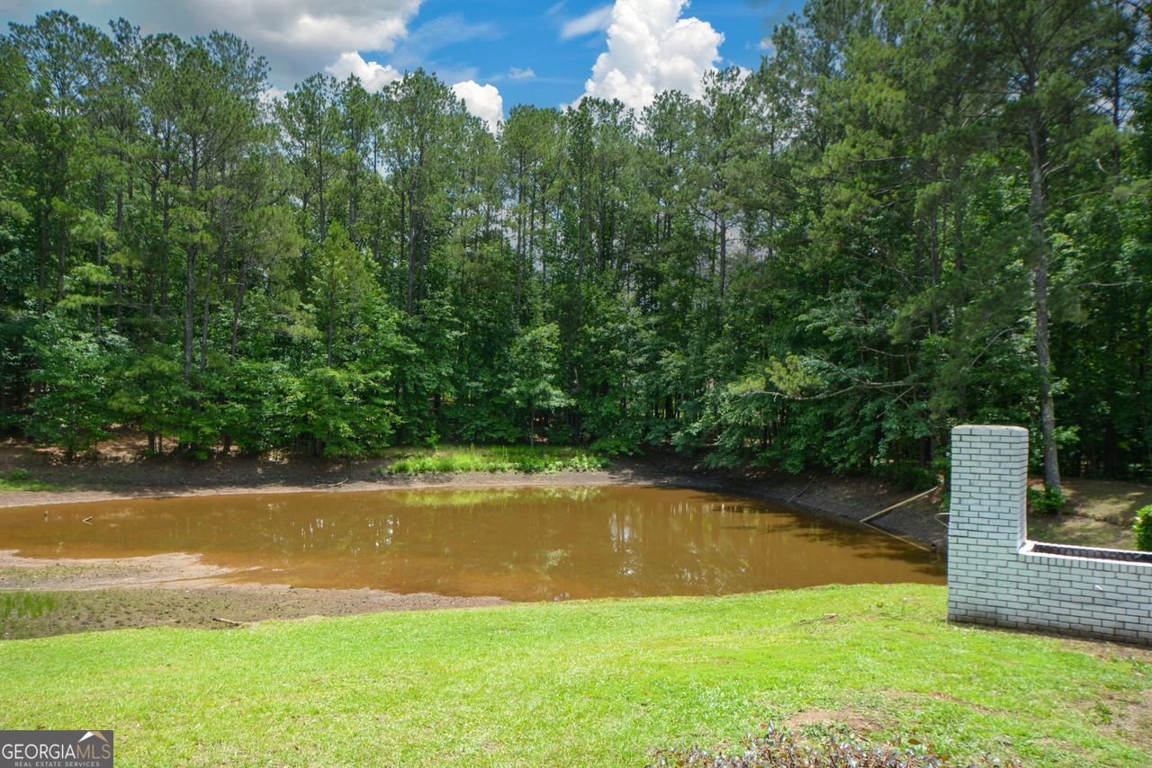 871 Cowan Road Conyers - 39