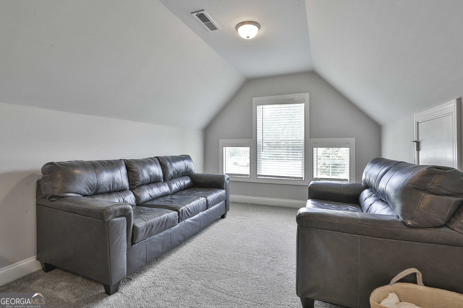 33 Vinery Court Sharpsburg - 31