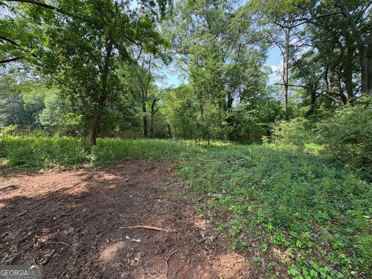 3700 Moore Road Austell - 4