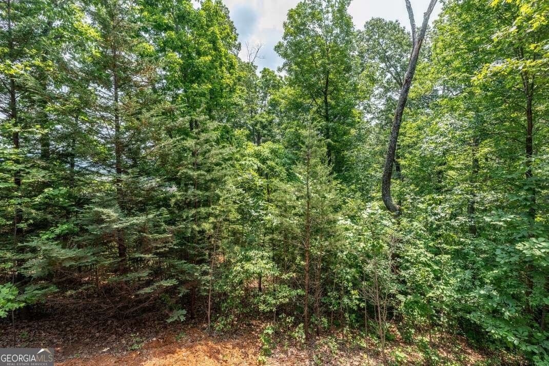 235 Red Bud Lane Hiawassee - 32