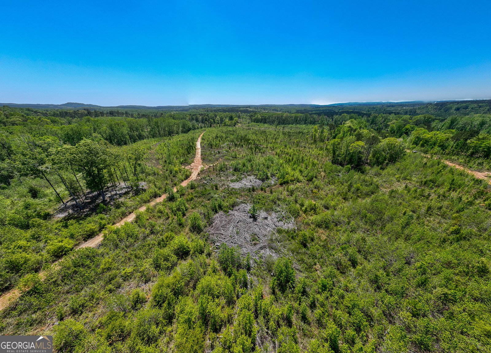 1755 Hunsinger Road Shiloh - main photo