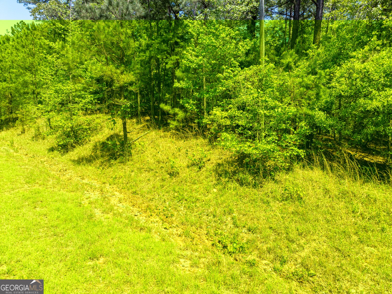 1755 Hunsinger Road Shiloh - 12