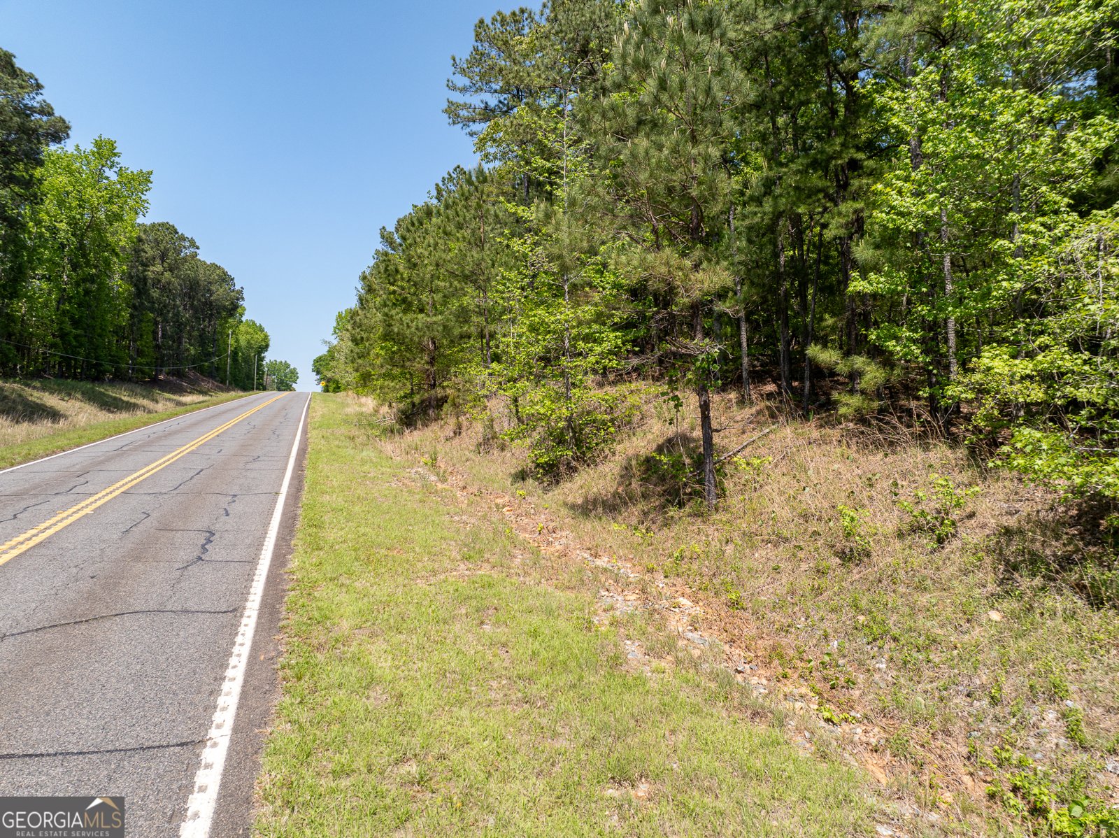 1755 Hunsinger Road Shiloh - 13