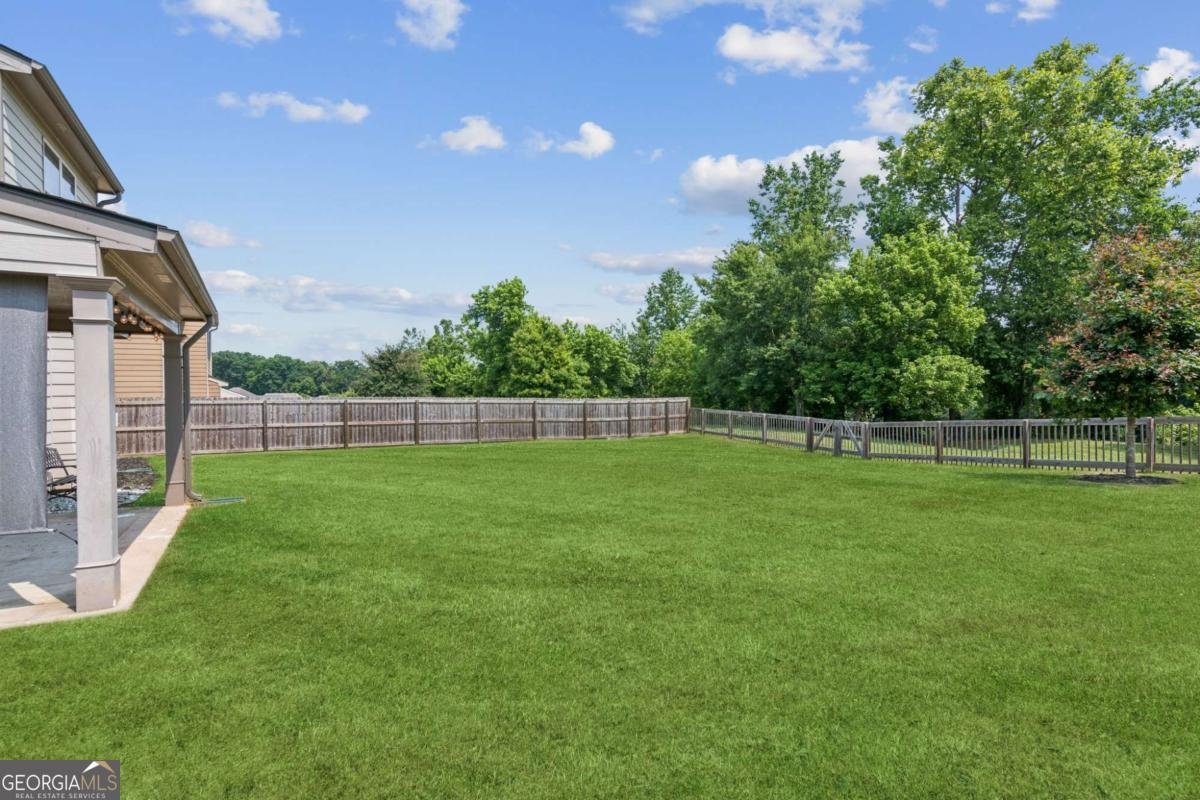 4650 Orchard View Way Cumming - 38