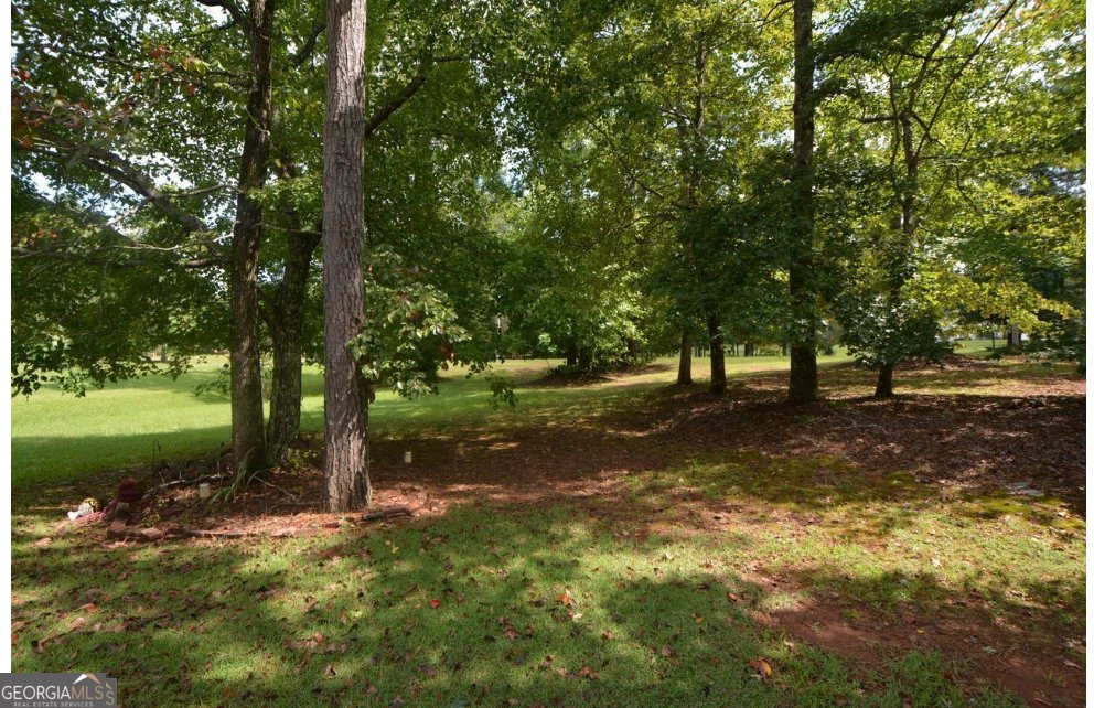 102 Buell Jones Road Carrollton - 25