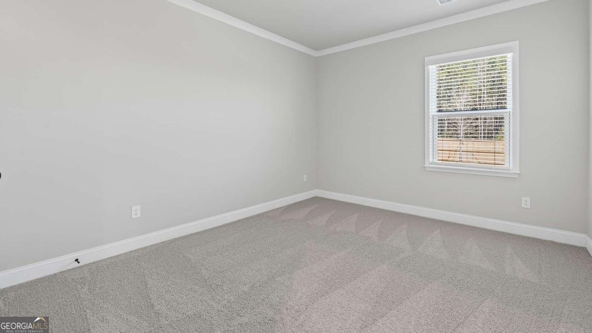 313 Foxglove Way Mcdonough - 4