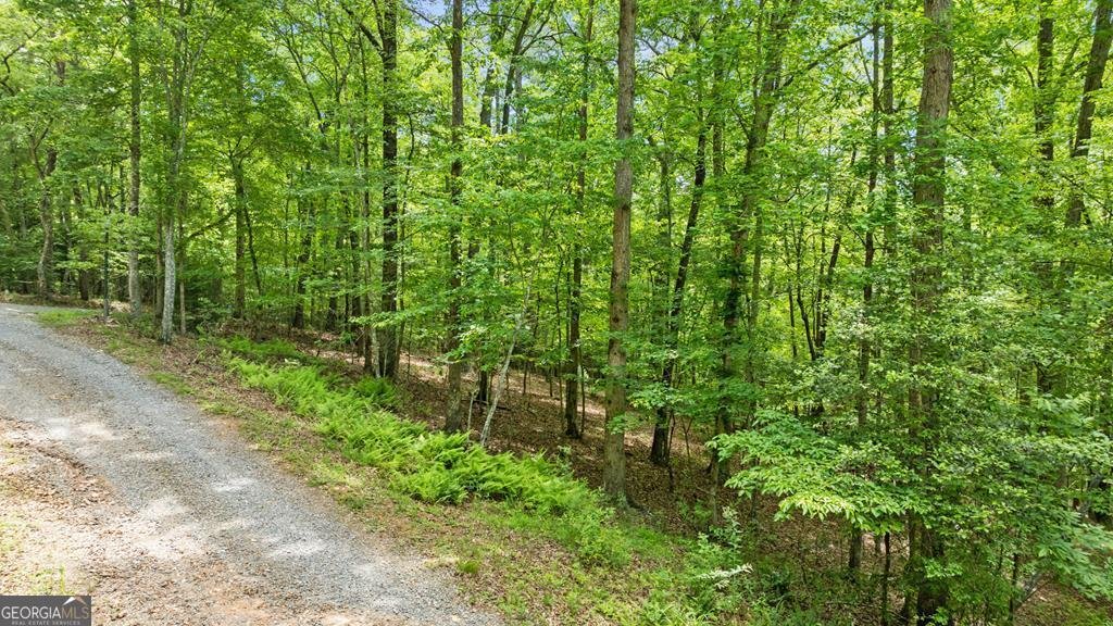 LT 16 Navajo Trail Mccaysville - 30