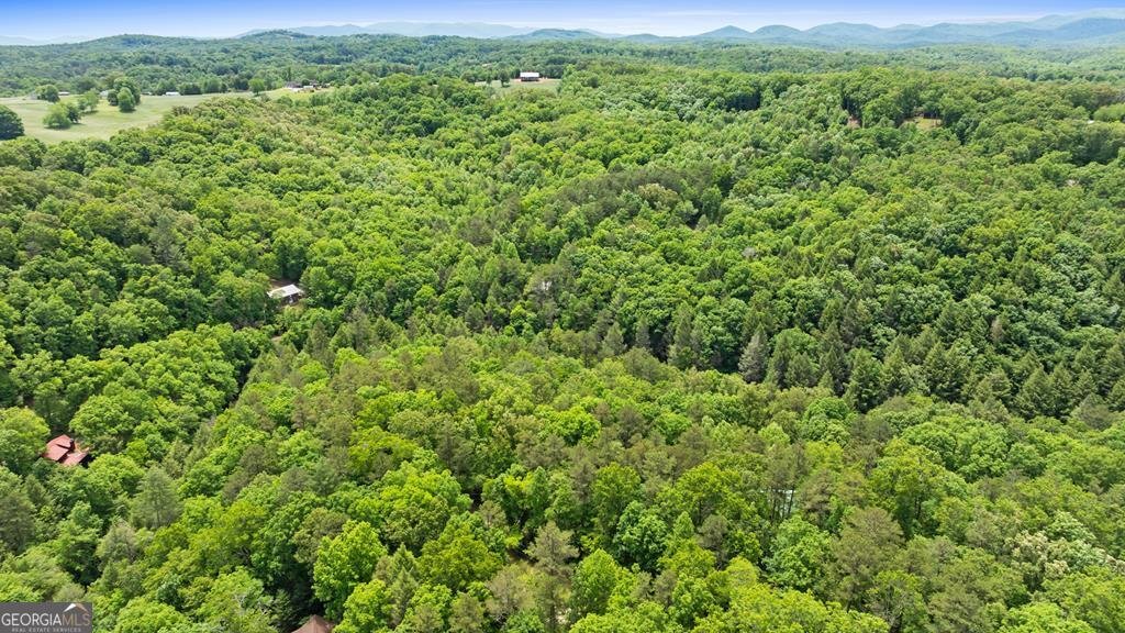 LT 16 Navajo Trail Mccaysville - 31