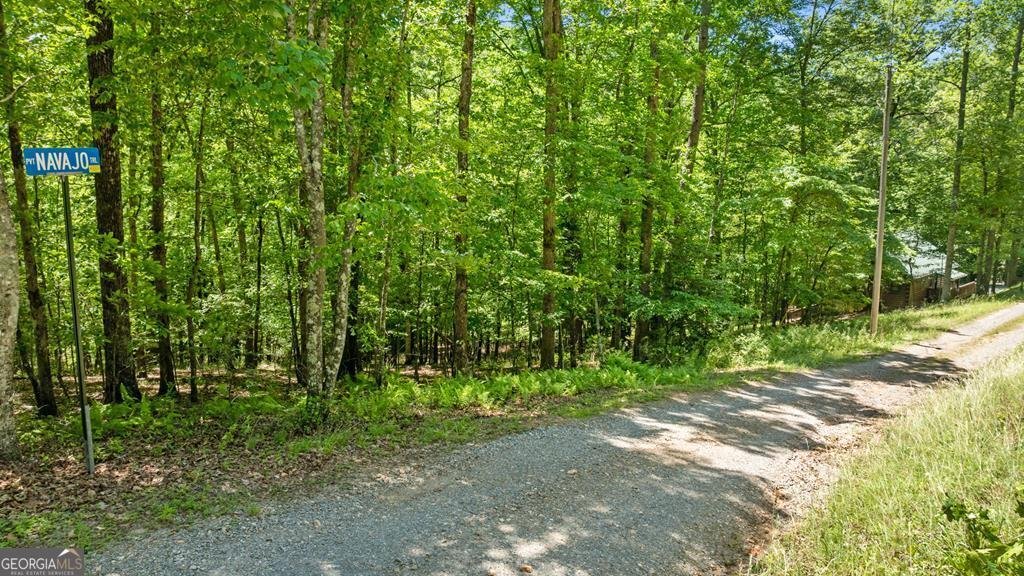 LT 16 Navajo Trail Mccaysville - 40