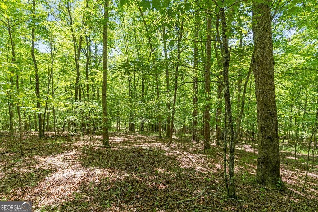 LT 16 Navajo Trail Mccaysville - 43